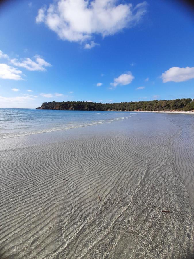 Appartement Familial - 7Pers- Hyeres-Centre 외부 사진